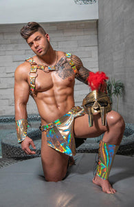 Disfraz de Gladiador vinyl Holograma